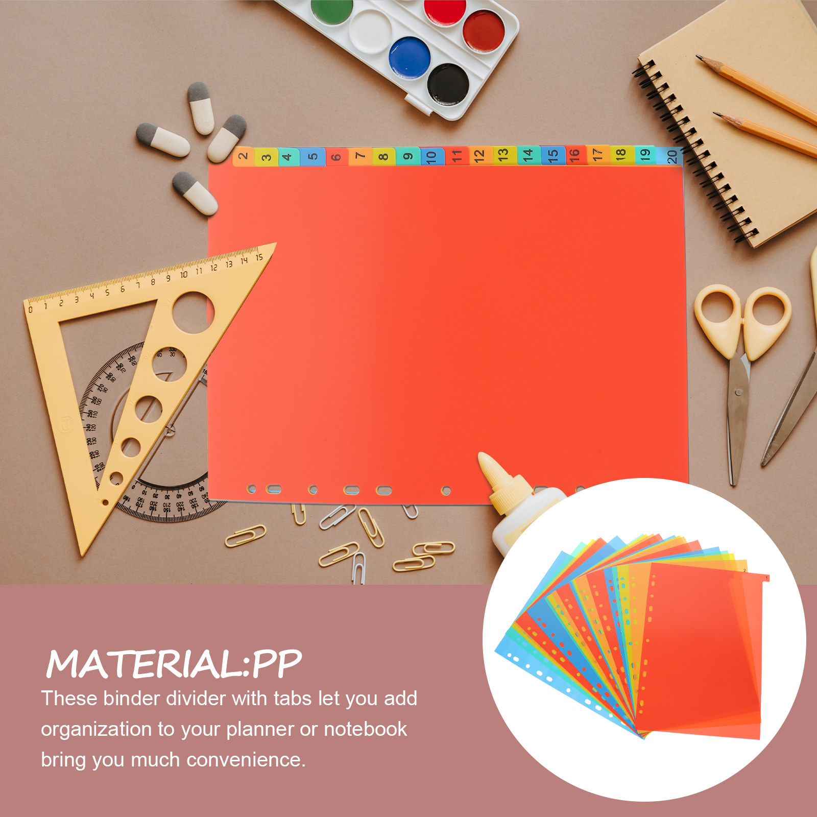 20Sheets A4 Plastic Binder Div - Tab Divider A4 ulasan dan harga