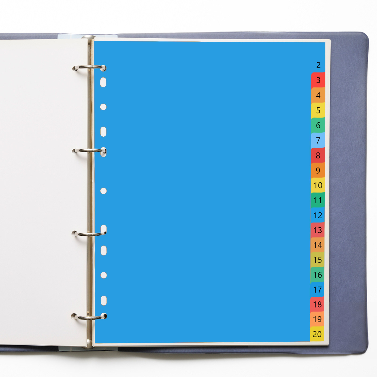 A4 Colorful Plastic Classified - Tab Divider A4 ulasan dan harga